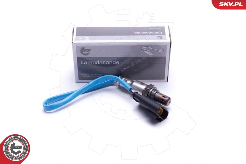 Oxygen Sensor